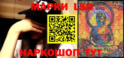 ПСИЛОЦИБИНОВЫЕ ГРИБЫ Новозыбков