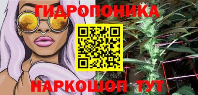 ПСИЛОЦИБИНОВЫЕ ГРИБЫ Новозыбков