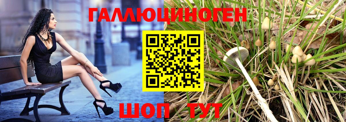 Псилоцибиновые грибы GOLDEN TEACHER  Галлюциногенные грибы ЛСД  Новошахтинск  Вход с VPN 