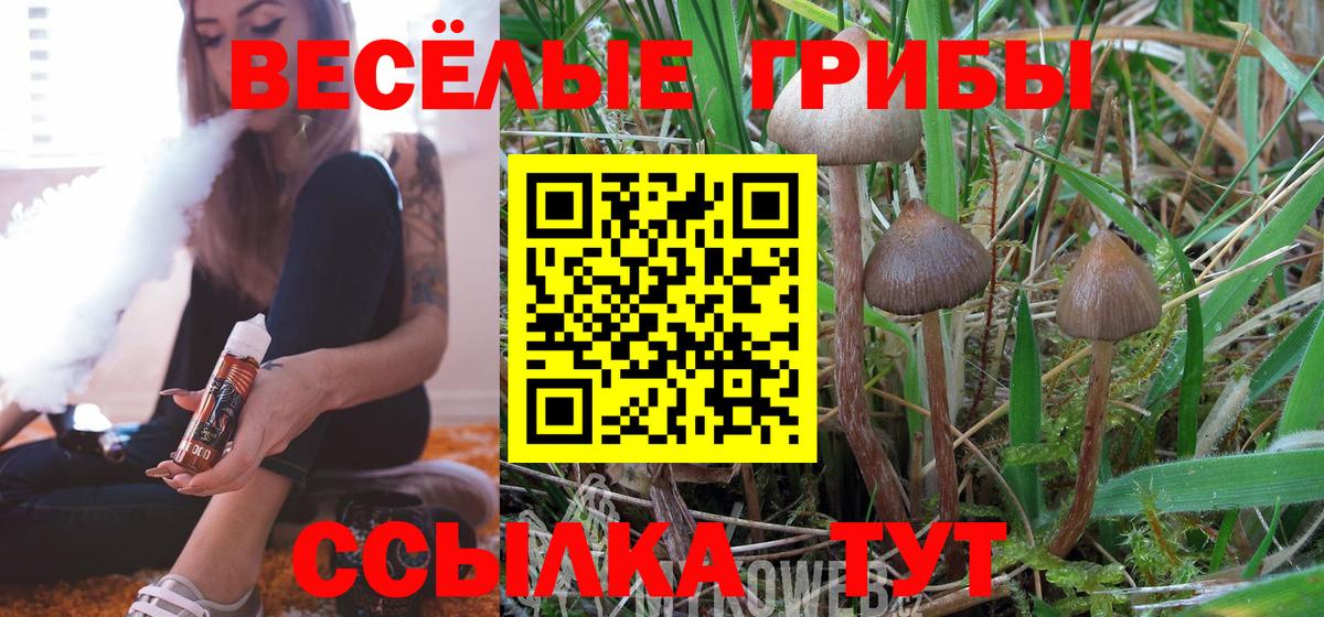 Псилоцибиновые грибы MAGIC MUSHROOMS Новошахтинск