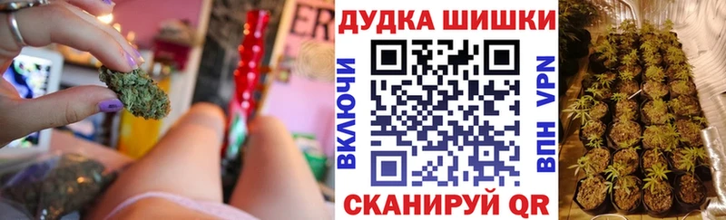 Канабис конопля  дарнет шоп  Новошахтинск 